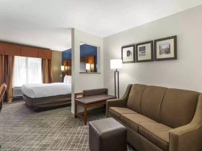 1 Queen Bed, 1 Room Suite